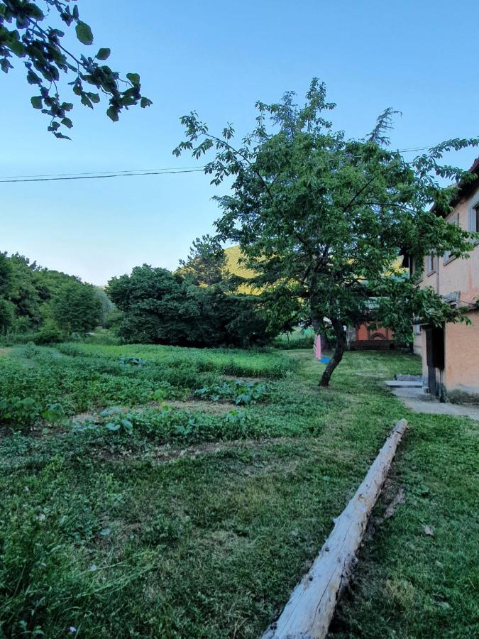 B&B Calecatine Rocca di Botte Luaran gambar